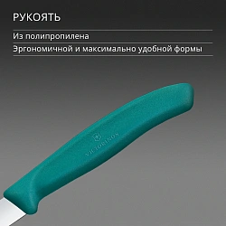 Нож кухонный Victorinox Swiss Classic 6.7604.C1 для чистки овощей и фруктов лезв.80мм прямая заточка зеленый