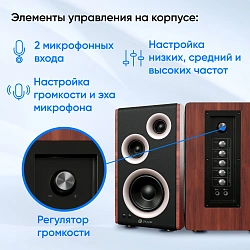 Колонки Оклик OK-117 BT 2.0 черный 80Вт BT