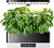 Гидропонная установка Cactus Garden 3л 24Вт черный (CS-LEDPOT-06)