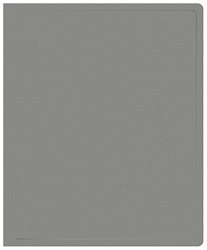 Папка на 2-х кольцах Buro -ECB0420/2RGREY A4 пластик 0.5мм серый