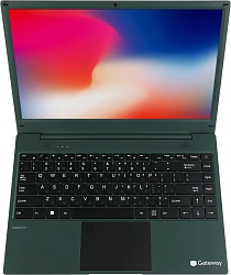 Ноутбук Gateway Ultra Slim 14 Ryzen 5 3500U 8Gb SSD256Gb AMD Radeon Vega 8 14.1" IPS FHD (1920x1080) Windows 11 Home green WiFi BT Cam (GWNR51416-GR)