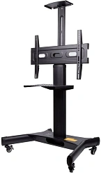 Подставка для телевизора Arm Media PT-STAND-11 черный 32"-65" макс.40кг напольный фиксированный