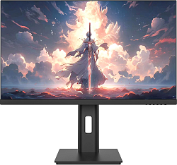 Монитор NPC 23.8" MF2439 черный IPS LED 3ms 16:9 HDMI M/M матовая HAS Piv 1500:1 300cd 178гр/178гр 1920x1080 120Hz FreeSync VGA DP FHD 4.2кг