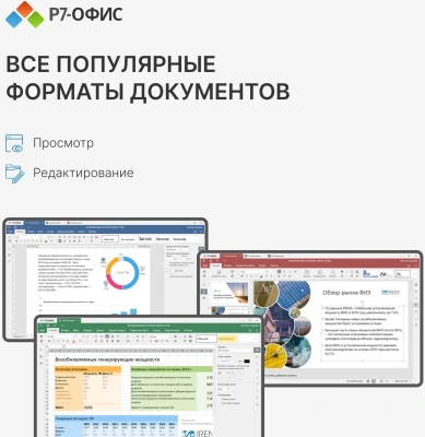 Офисное приложение Р7-Офис Профессиональный. Для бизнеса 1польз. бессрочно ТП 1г (R7DTB.UI.RT.NGUL0.0823.001BE)