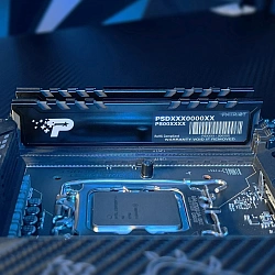 Память DDR5 8GB 5200MHz Patriot PSP58G520081H1 Signature Premium RTL PC5-41600 CL42 DIMM 288-pin 1.1В single rank с радиатором Ret