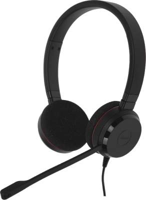 Наушники с микрофоном Jabra Evolve 20 черный накладные USB оголовье (4999-823-169)