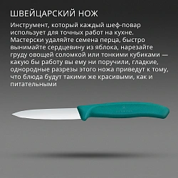 Нож кухонный Victorinox Swiss Classic 6.7604.C1 для чистки овощей и фруктов лезв.80мм прямая заточка зеленый