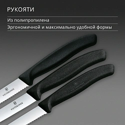 Набор ножей кухон. Victorinox Swiss Classic 6.7113.34 для овощей компл.:3предм. черный европодвес