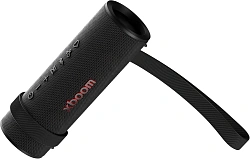Колонка порт. LG Xboom GRAB черный 30W 1.1 BT