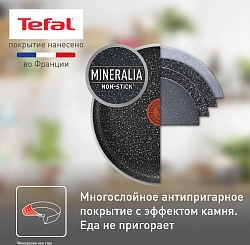 Сковорода Tefal Rock 4235124 круглая 24см покрытие: антипригарное ручка несъемная (без крышки) черный (9100054293)