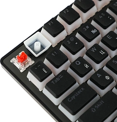 Клавиатура Acer Nitro OKW303 механическая черный/серый USB Multimedia for gamer LED (ZL.KBDCC.01D)