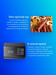 Сушка для фруктов и овощей Kitfort КТ-1905 18под. 500Вт черный
