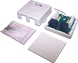 Розетка Lanmaster TWT-SM2-4545-WHRJ45 2 кат.5E бел. (упак.:1шт)
