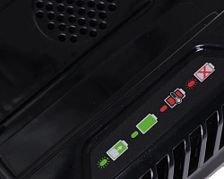 Зарядное устройство Greenworks GC82C (2914707)