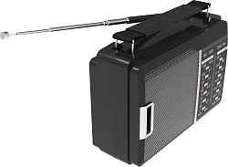 Радиоприемник портативный Ritmix RPR-190 черный