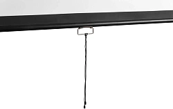 Экран Digis 227x133см Optimal-D DSOD-16904 16:9 настенный рулонный белый