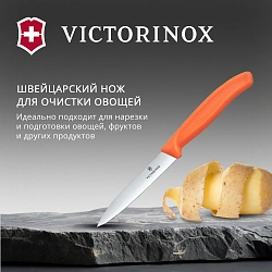 Нож кухонный Victorinox Swiss Classic (6.7709.C1) для овощей лезв.100мм прямая заточка оранжевый