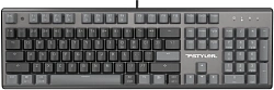 Клавиатура A4Tech Fstyler FS100 Neon механическая черный USB for gamer LED (FS100) кабель 1.8м
