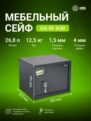 Сейф мебельный Cactus CS-SF-K30 взломостойкий 300x380x300мм ключевой