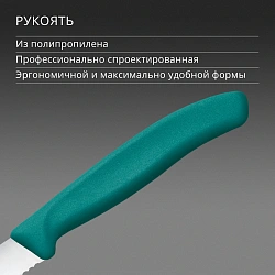 Нож кухонный Victorinox Swiss Classic 6.7234.C1 для стейка/пиццы лезв.110мм серрейт. заточка зеленый
