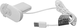Камера Web Logitech HD Webcam Brio 100 белый 2Mpix (1920x1080) USB-A с микрофоном (960-001618)