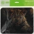 Коврик для мыши Cactus Leopard рисунок 250x200x3мм (CS-MP-D06S) Коврик для мыши Cactus Leopard рисунок 250x200x3мм (CS-MP-D06S)