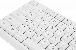 Клавиатура + мышь Defender Motion C-977 клав:белый мышь:белый/розовый USB Multimedia (45977)