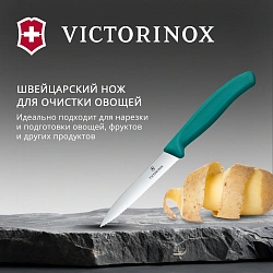 Нож кухонный Victorinox Swiss Classic (6.7734.C1) для чистки овощей и фруктов лезв.100мм серрейт. заточка зеленый