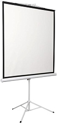 Экран Digis 84" 150x150см Kontur-D DSKD-1103 1:1 напольный рулонный