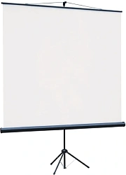 Экран Lumien 84" 110x192см Eco Picture LEV-100113 16:9 напольный натяжной белый