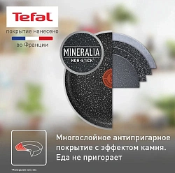 Сковорода блинная Tefal Rock 04235525 круглая 25см покрытие: Mineralia ручка несъемная (без крышки) черный