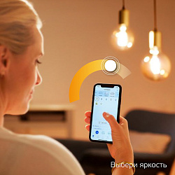 Умная лампа Gauss Smart Home C35 E14 4.5Вт 495lm (1230112)