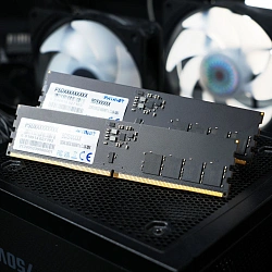 Память DDR5 16GB 6400MHz Patriot PSD516G64081C Signature RTL PC5-51200 CL52 DIMM 288-pin 1.1В single rank Ret