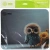 Коврик для мыши Cactus Owl gray рисунок 300x250x3мм (CS-MP-D12M) Коврик для мыши Cactus Owl gray рисунок 300x250x3мм (CS-MP-D12M)