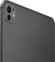 Планшет Apple iPad Pro 2024 A2836 M4 9C RAM8Gb ROM256Gb 11" OLED 2420x1668 iOS черный космос 12Mpix 12Mpix BT WiFi 10hr