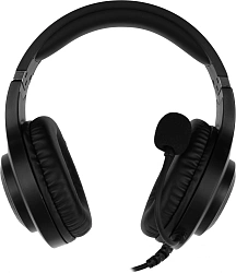 Наушники с микрофоном A4Tech Bloody G220S черный 2м мониторные USB оголовье (G220S USB/ BLACK)