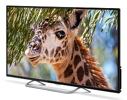Телевизор LED PolarLine 55" 55PU11TC-SM черный 4K Ultra HD 60Hz DVB-T DVB-T2 DVB-C DVB-S2 WiFi Smart TV (RUS)