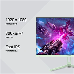 Монитор Digma 23.8" Overdrive 24P410F мятный IPS LED 1ms 16:9 HDMI матовая 300cd 178гр/178гр 1920x1080 200Hz G-Sync FreeSync DP FHD USB 2.8кг
