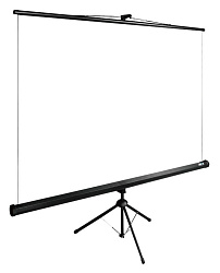 Экран Cactus 160x160см TriExpert CS-PSTE-160x160-BK 1:1 напольный рулонный черный