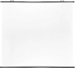 Экран Cactus 180x180см Map type CS-PSRM-180x180-BK 1:1 настенно-потолочный рулонный черный
