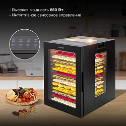 Сушка для фруктов и овощей Hyundai HYFD-8803 28под. 850Вт черный