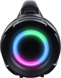 Колонка порт. Ural Урал ТТ М6+ КАРАОКЕ черный/черный 110W 1.1 BT/3.5Jack/USB-C 10м 8000mAh (ФР-00003975)