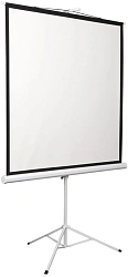 Экран на треноге Digis 135" 248x250см Kontur-D DSKD-1108 1:1 напольный рулонный белый