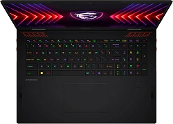 Ноутбук MSI Raider A18 HX A9WJG-216RU Ryzen 9 9955HX3D 64Gb SSD2Tb NVIDIA GeForce RTX 5090 24Gb 18" IPS UHD+ (3840x2400) Windows 11 Home black WiFi BT Cam (9S7-182L72-216)