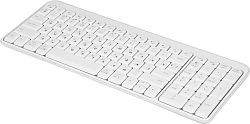 Клавиатура Logitech K251 белый беспроводная BT Multimedia (920-013364)