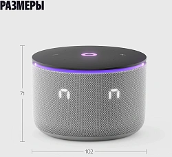 Умная колонка Yandex Станция Мини 3 Про Алиса серый 18W 2.0 BT/Wi-Fi (YNDX-00059GRY)