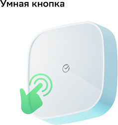 Комплект Sber SBDV-00068R