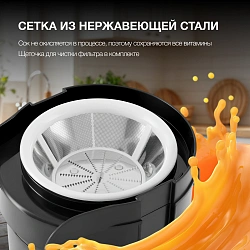 Соковыжималка центробежная Hyundai HY-JE1625 500Вт рез.сок.:450мл. черный/зеленый