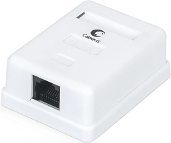 Розетка Cabeus WS-8P8C-CAT.6-1 комп.RJ45 кат.6 бронз.