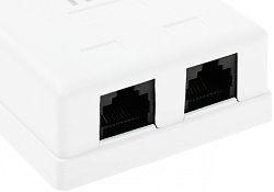 Розетка ITK CS2-1C5EU-22 настен.RJ45 2 кат.5E UTP бел. (упак.:1шт)